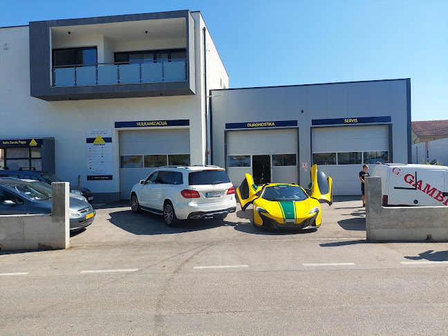 Vozila ispred Auto servisa Pape